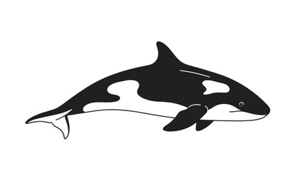 Obraz premium Black and White Orca Whale Illustration.