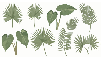 Luxury Tropical Botanical Leaves Vector Set with Palm and Philodendron © Babul