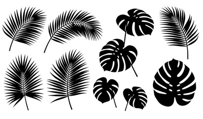 Tropical Palm and Monstera Leaves Realistic 3D Vector Jungle Collection © Babul