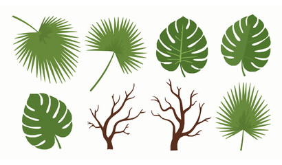 Summer Jungle Palm and Monstera Leaves Vector Botanical Collection © Babul