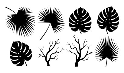 Summer Jungle Palm and Monstera Leaves Vector Botanical Collection © Babul