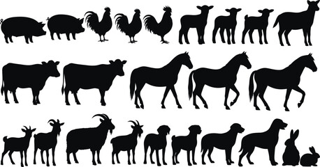 Fototapeta premium A collection of animal silhouettes against a white background silhouette