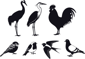 Obraz premium A collection of bird silhouettes against a white background silhouette