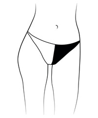 Woman legs swimsuit panties bikini hand drawing