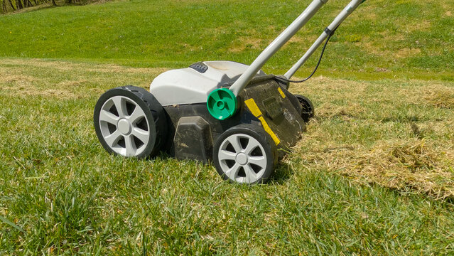 CLOSE UP: Grass aerator for soil compaction relief to grow healthy, thick lawn
