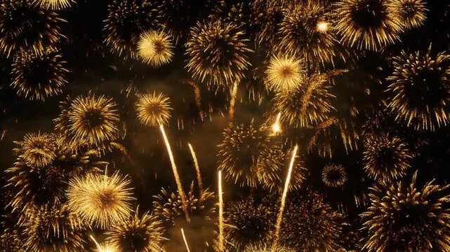 Fireworks exploding in night sky for celebratory celebration