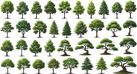 Fototapeta premium A diverse collection of cartoon trees, featuring various deciduous and coniferous species, isolated on a clean white background.