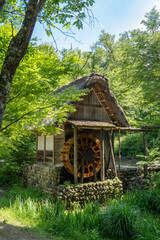 Traditional watermill surrounded by nature in Shirakawa-go, Japan