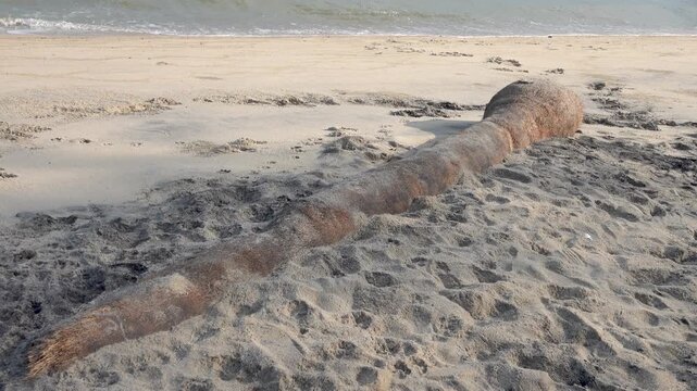 A palm log on the shore of the Andaman Sea serves as a seat for strollers and a toy for the waves.
