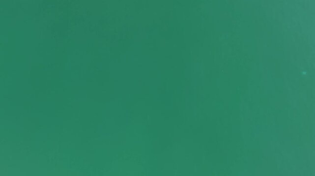 Top down aerial perspective showing organic textures and contrasting colors across natural landscape surface.