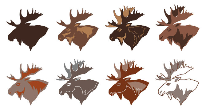 Moose head for your design, vector, color set	