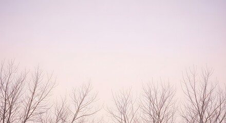 Obraz premium Winter landscape with bare trees against a pastel sky