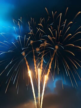 Colorful fireworks display in the sky