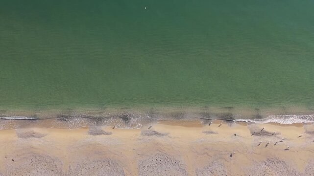 Overhead seascape shows muddy sand waves colliding with emerald water forming beautiful natural shapes and flowing motion textures