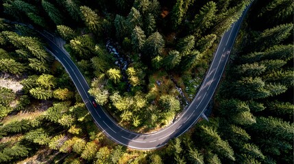 Road bend building up to a mountain in the center of a forest, seen from above