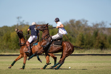 Polo horses, players, workers, tools, gear, equipment, field, sport.