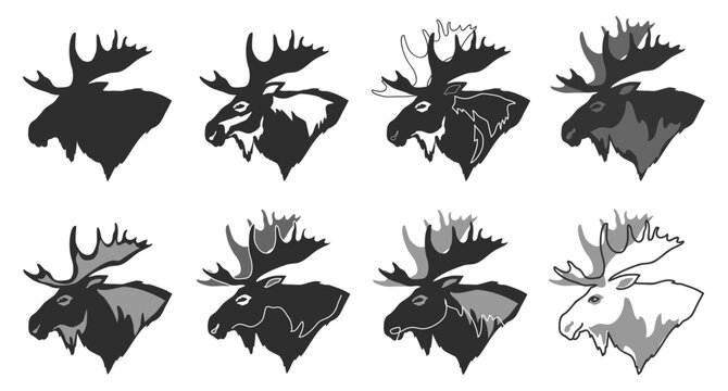Moose head for your design, vector, black and white set