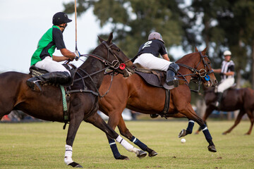 Polo horses, players, gear, equipment, tools, workers, field, sport