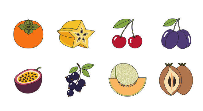Assortment of colorful fruit illustrations