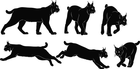 WebBlack vector silhouette set of lynx and bobcats for concepts of wild forest cats nature conservation hunting and predator branding © Mehedi