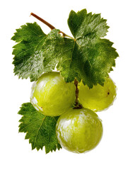 muscat grapes on white background