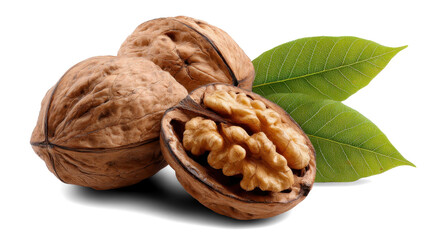 walnuts with leaves on white background