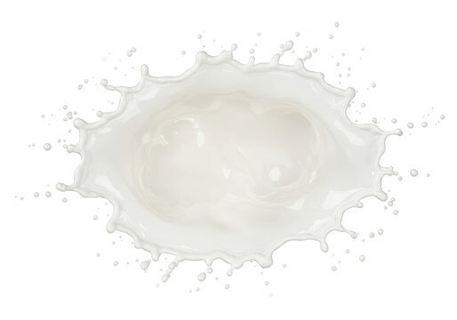 Milk splashing in a circular pattern with drips isolated on white background