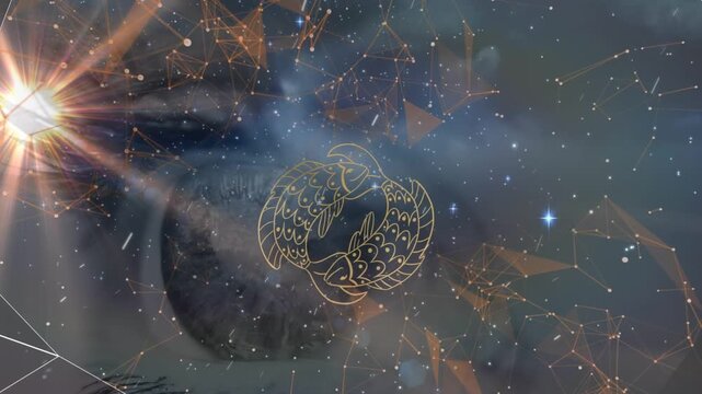 Animation of connections, dots and zodiac pieces over woman eye