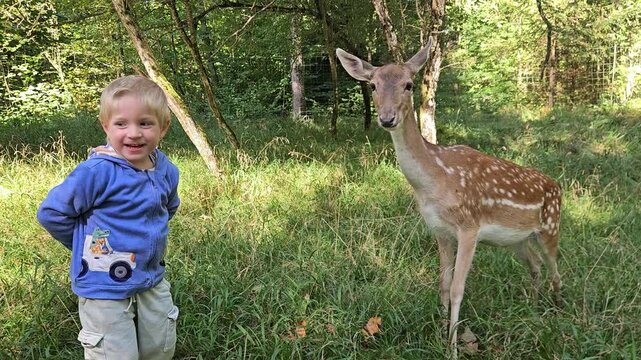 4K wildlife clip, natural daylight, handheld camera, 7s duration, shallow depth focus. High quality 4k footage