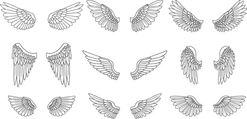 Angel wings line illustration set with detailed feathered wing designs for tattoo art fantasy character spiritual symbol and decorative graphic design use