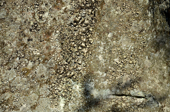 rochers, sentier Denecourt Colinet, Cabaret Masson, parcour de la Solle, Foret de Fontainebleau, region Ile de France, 77, Seine et Marne, France