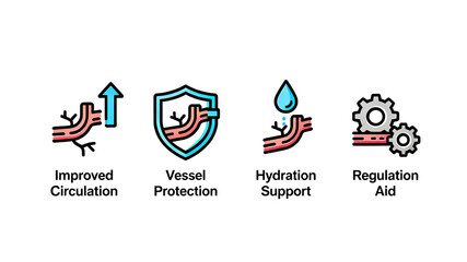 Circulation and regulation icons represent promoting circulation, vascular protection, hydration support, and regulation assistance, suitable for vascular maintenance scenarios.

