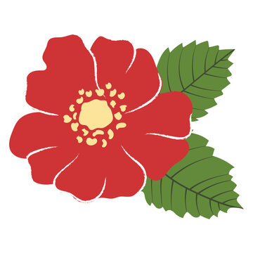 Red wild rose flower with leaves