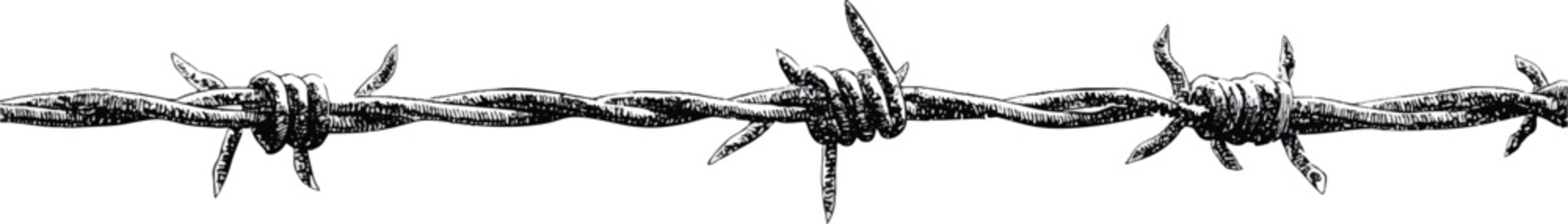 Barbed wire, simple vector line drawing, transparent background
