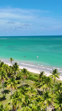 Northeastern Brazil Skyline At Sao Miguel Dos Milagres In Alagoas Brazil. Nature Landscape. Agriculture Scenery. Travel Destination. Northeastern Brazil Skyline In Alagoas Brazil. 