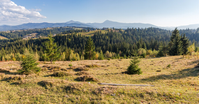 Mountain Landscape. Slope Of Mountain Range With Coniferous Forest