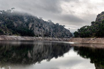 Tranquilidad en el pantano
