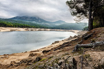 Sequ&iacute;a en el pantano
