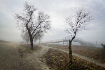 Niebla en el puente