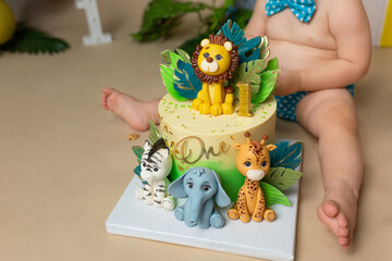 Adorable Safari Animal First Birthday Cake with Baby