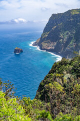 Fototapeta premium Cliffs at the sea on Madeira island with flowers in foreground