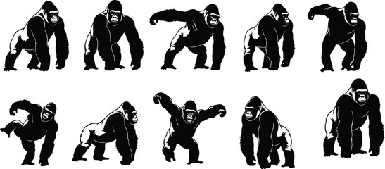 Gorilla silhouettes collection poses wild animal primate set black isolated illustration safari wildlife design © Tohidul