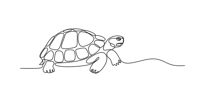 Continuous line art illustration of a turtle with a simple, minimalist aesthetic Vector, illustration