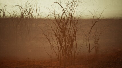 In a dimly lit scene, skeletal branches rise from dark earth amidst swirling fog. The atmosphere feels eerie, with muted colors painting a haunting beauty during early evening.