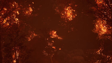 Fierce flames stretch across trees in a forest, illuminating the dark surroundings. Smoke fills the air as nature faces a devastating blaze during the evening hours.