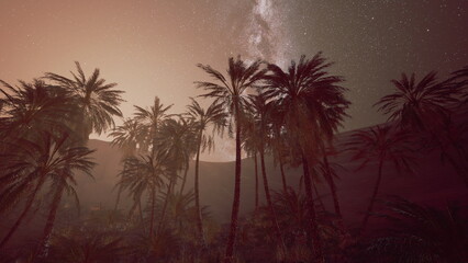 Fototapeta premium Under the shimmering night sky, palm trees stand tall against a backdrop of galaxies. The warm glow of the desert envelops the scene, creating a serene and enchanting atmosphere.