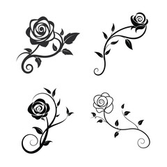 Rose Vine Decorative Scroll Vector Floral Ornament Isolated on White Background © MdRanju