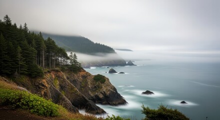 Obraz premium A serene coastal landscape with cliffs and trees overlooking the ocean from a high vantage point on a misty day