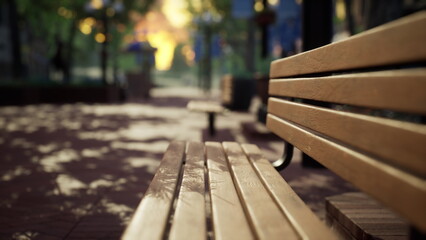 A wooden bench stands alone in a lively park filled with trees and soft sunlight filtering through the leaves. It suggests a tranquil escape in an urban landscape. © icetray