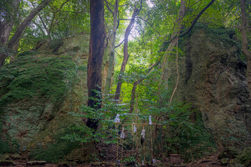 島根出雲 立石神社 森の中の磐座